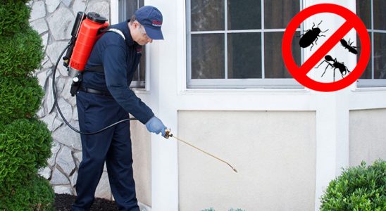 Evka 7 Pire İlaçlama böcek ilaçlama ve haşere kontrolü — ilaclama-tr.com